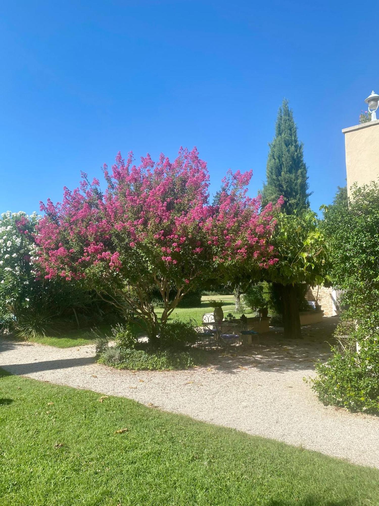 Mas Les Fleurs D'Hilaire Bed & Breakfast Monteux Exterior photo